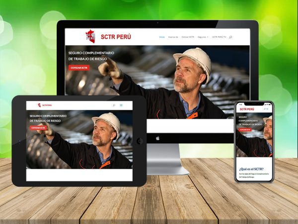 Diseño Web SCTR Perú