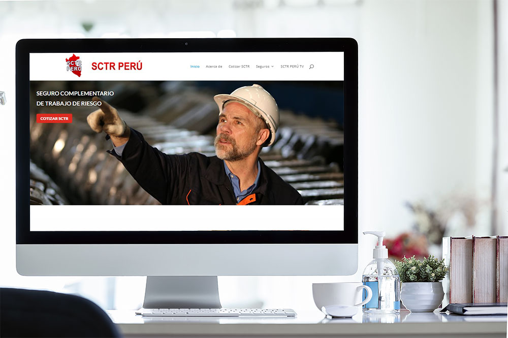 Diseño Web SCTR Perú